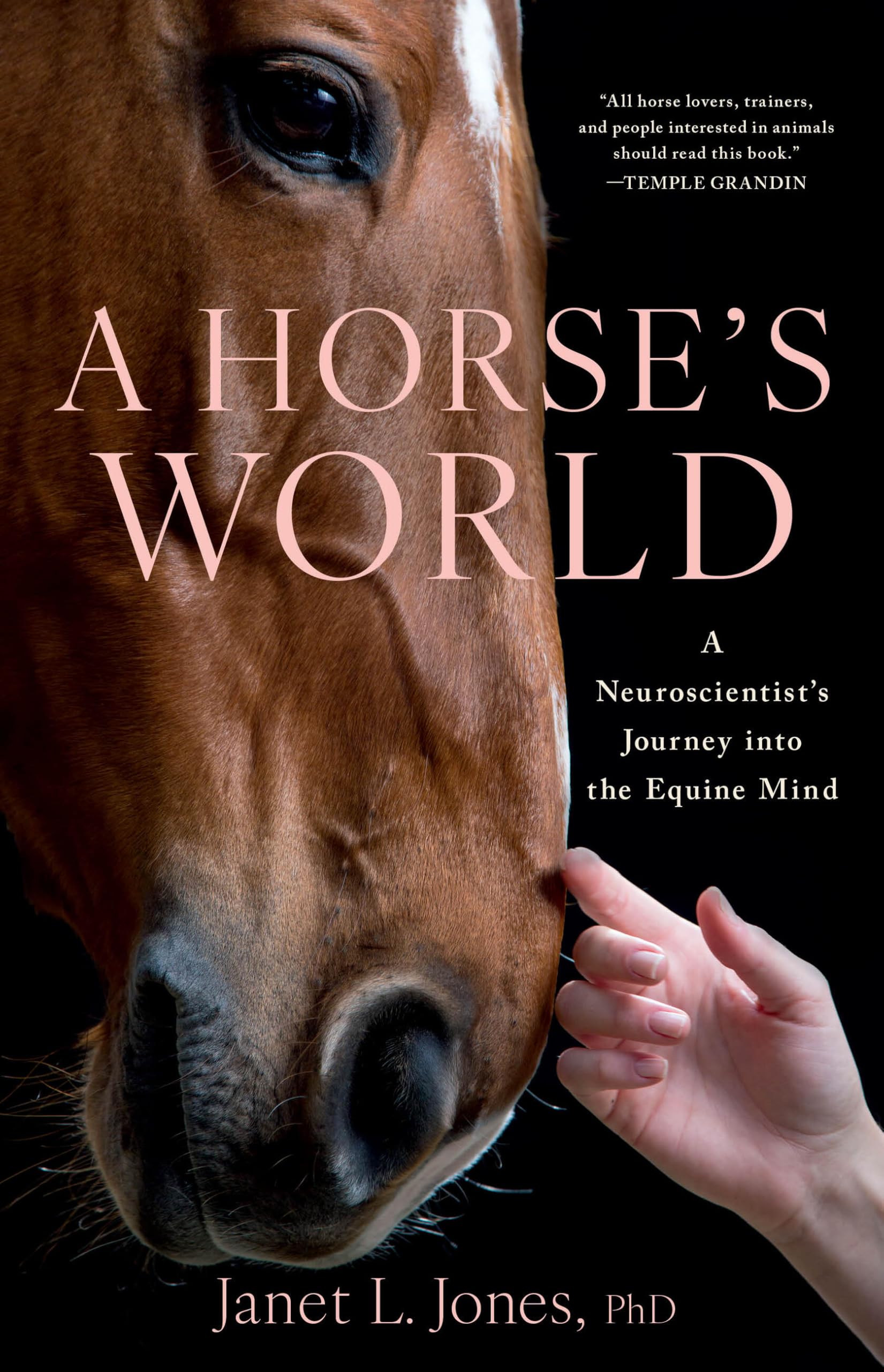 Horses World